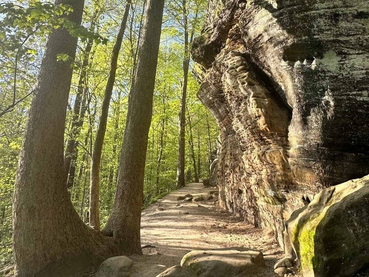 A sun-dappled forest along Ledges trail in Cuyahoga Valley National Park runs beside towering, weathered rock formations with deep textures and moss patches. Hiking this scenic path is a popular highlight on the best things to do in Cuyahoga Valley National Park itinerary.