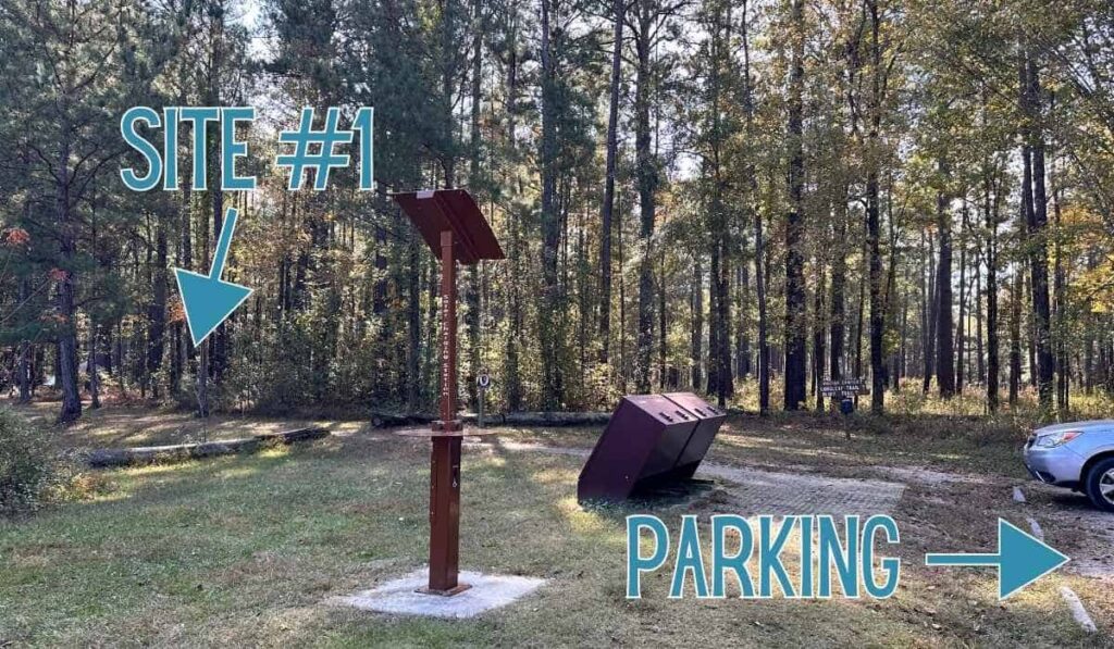 Best Things To Do In Congaree National Park Itinerary Designated campsite at Congaree National Park labeled "Site #1" with a nearby parking area, bear-proof trash bins, and solar powering station, all set beside a forest trailhead. A convenient and accessible camping option for those planning the best things to do in Congaree National Park itinerary.