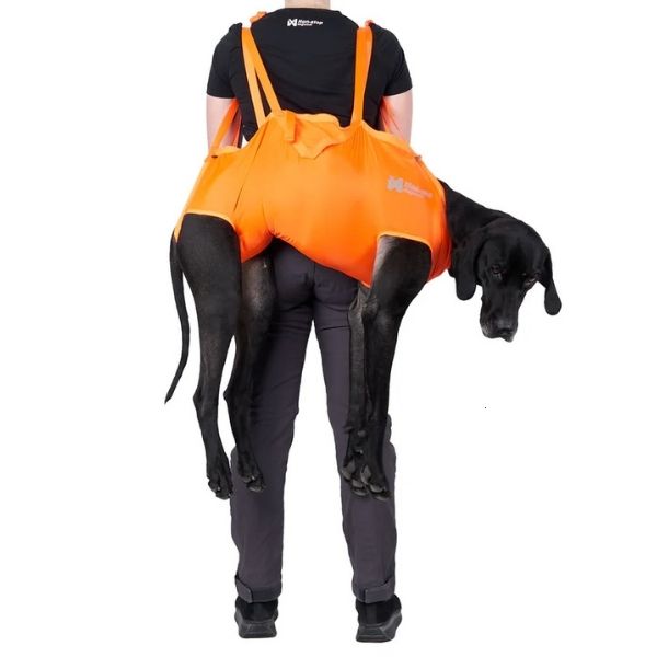 A person demonstrates a bright orange dog-carrying harness by transporting a large black dog on their back, offering a hands-free solution for emergencies while backpacking with a dog. The harness supports the dog securely, making it easier to continue hiking if a pup gets injured or exhausted.