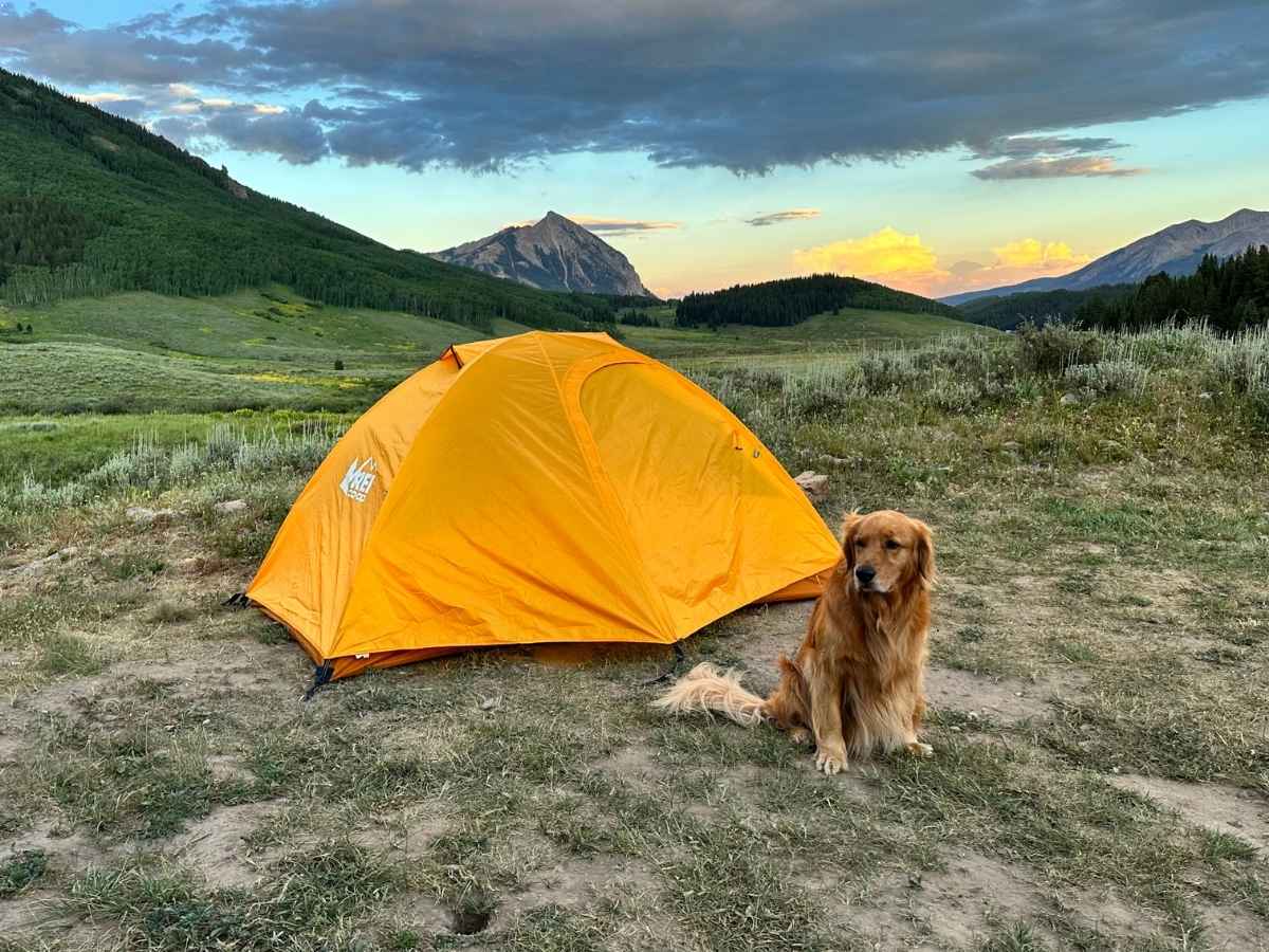 cuddle tent Coody Aurora Dome Beige Inflatable Shelter for Outdoors (2-4 person) Size:8' x 10' (1 Pack) gifting_mothersday Kubische Vollkassettenmarkise 