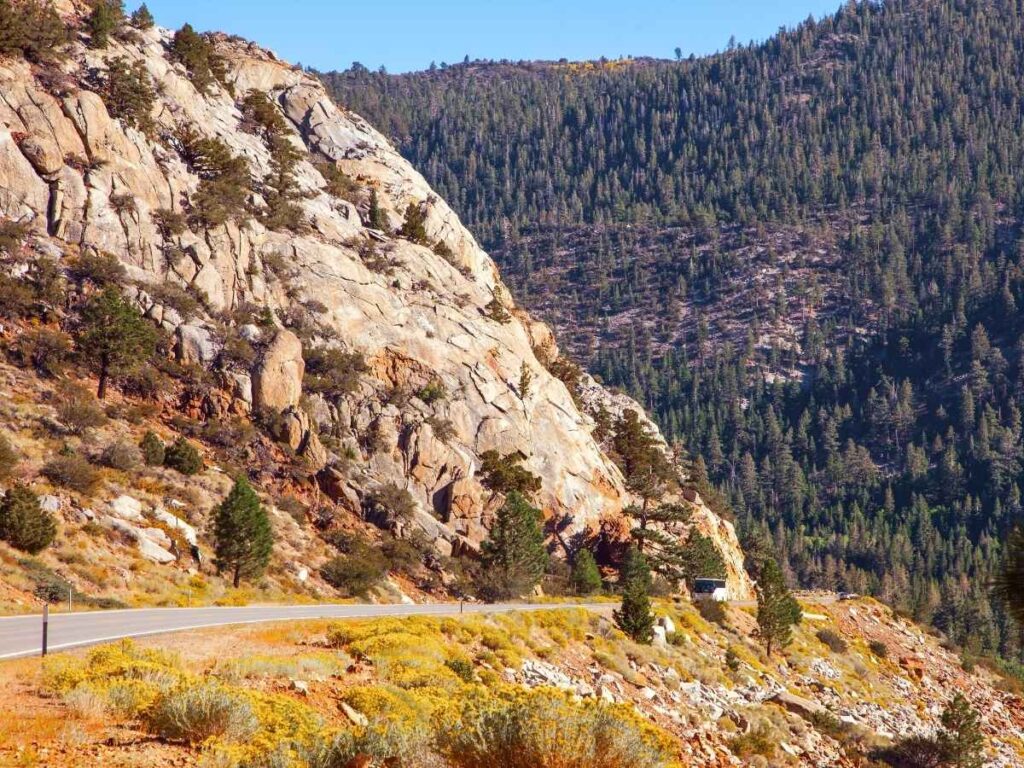 A scenic mountain road winds along a rocky granite cliff dotted with pine trees and yellow wildflowers in Yosemite National Park. The rugged landscape and dramatic elevation changes highlight the kind of scenic drive you would plan for in a Yosemite itinerary.
