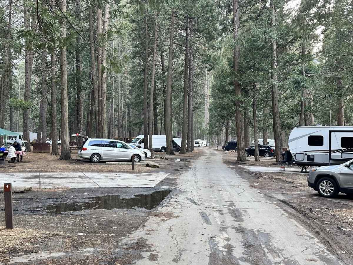 Upper Pines campground in Yosemite lined with tall pine trees features parked cars, RVs, and tents set up at individual campsites in Yosemite National Park. The forested setting and accessible parking highlight what to expect when planning a camping stay on a Yosemite itinerary.