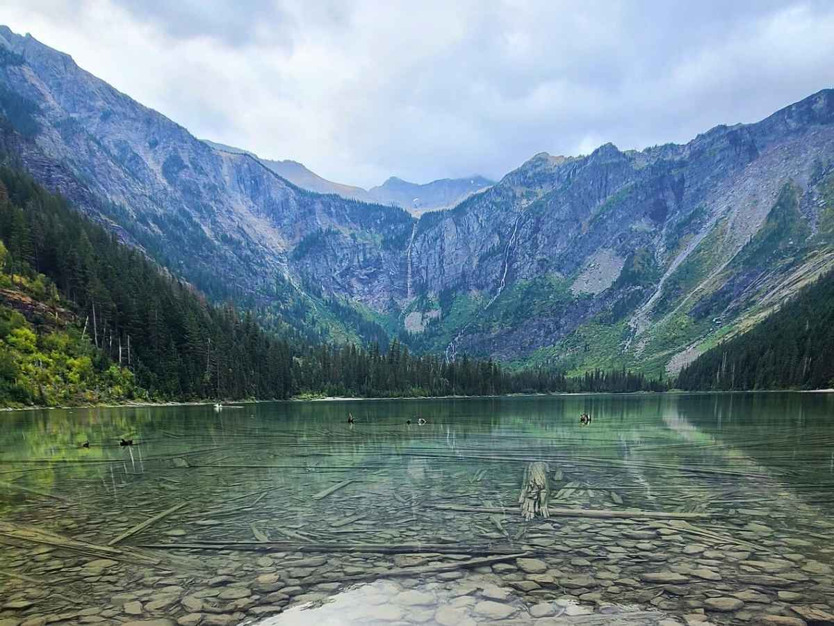 Clear alpine lake with submerged logs and stones visible beneath the water at Avalanche Lake in Glacier National Park. Steep rocky mountains and evergreen forest surround the lake with thin waterfalls cascading down the cliffs as featured in a Glacier National Park itinerary.
