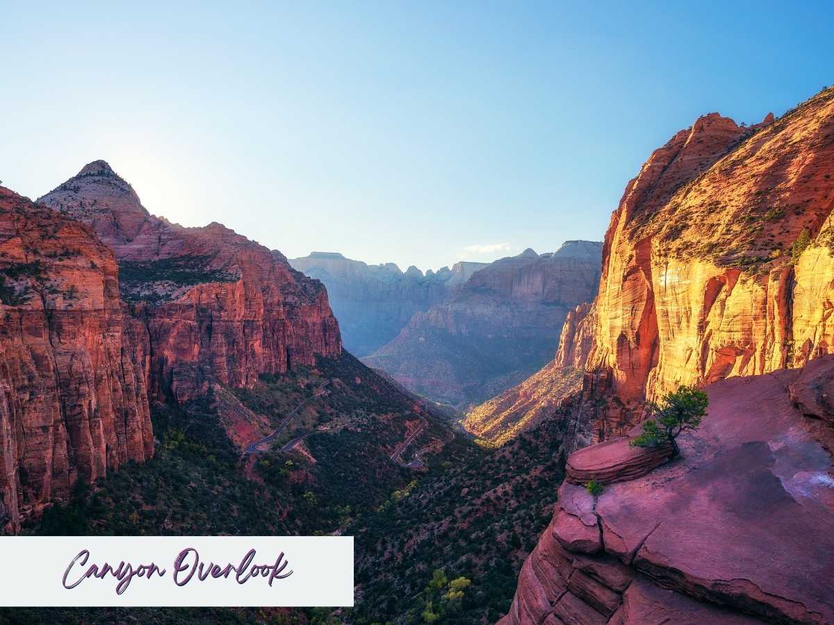 Sweeping view from Canyon Overlook in Zion National Park with towering red rock cliffs glowing in golden light above the winding canyon below. Text on the image reads Canyon Overlook, showcasing one of the most breathtaking viewpoints to include in a Zion National Park itinerary.