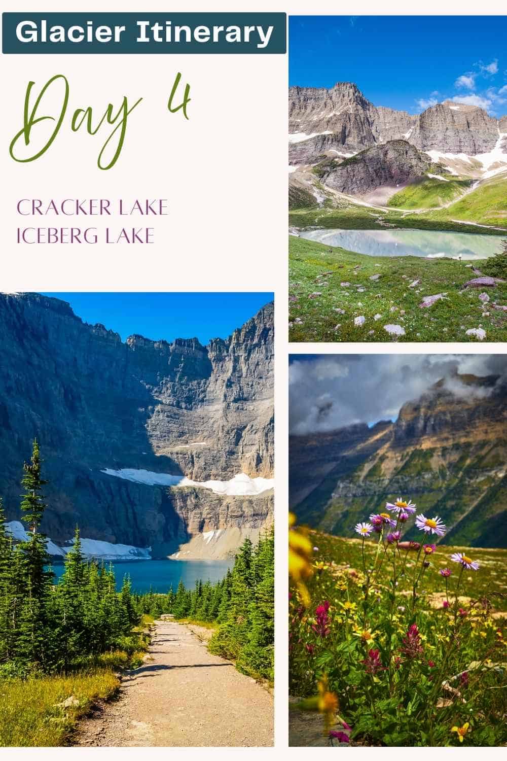 Graphic for a Glacier National Park itinerary that reads "Glacier Itinerary Day 4 Cracker Lake Iceberg Lake". Photos show a mountain lake beneath rugged cliffs, a trail leading toward a turquoise alpine lake surrounded by steep rock walls, and colorful wildflowers blooming in a mountain meadow.