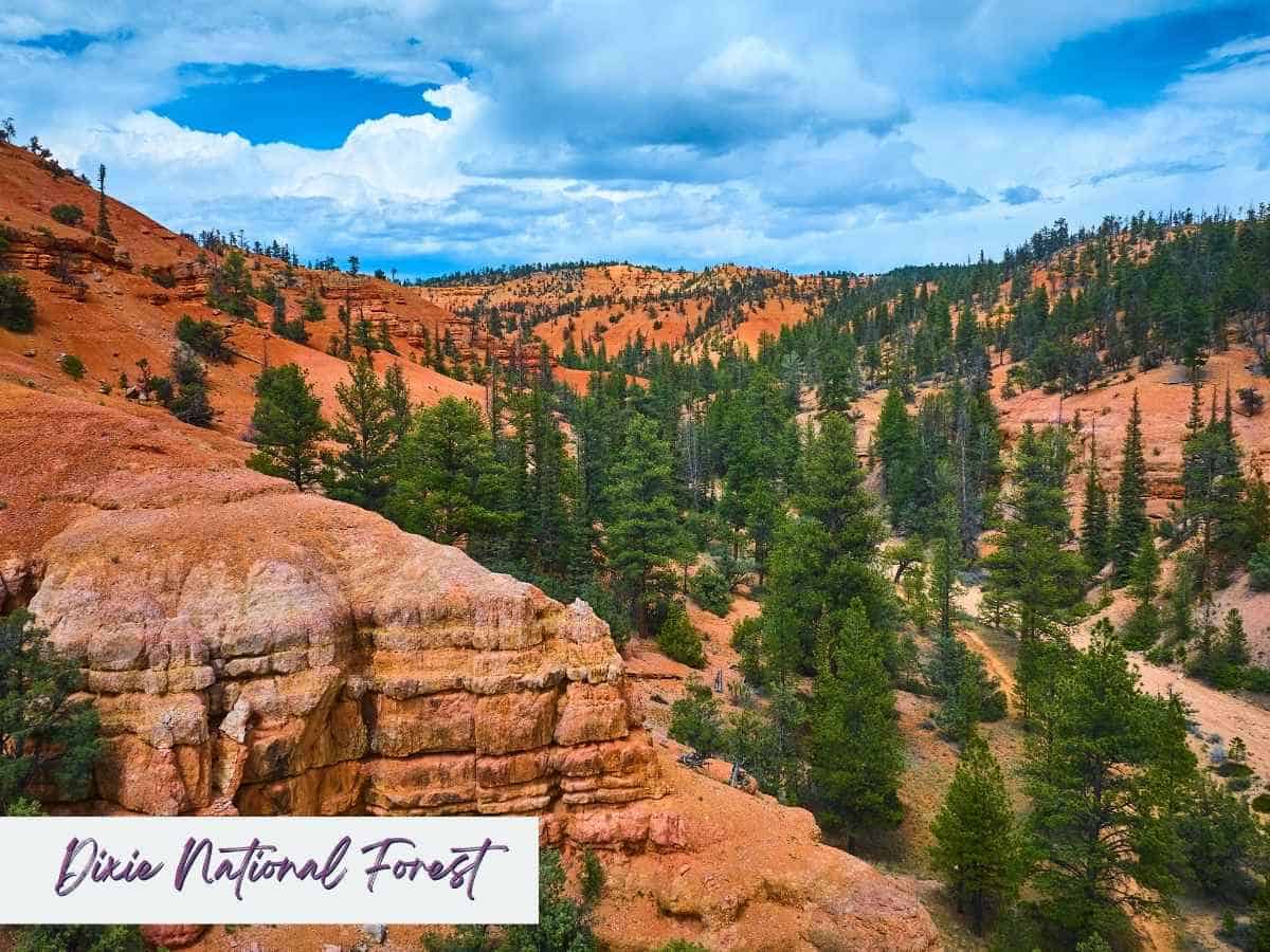 View across orange sandstone hills and green pine trees in Dixie National Forest under a dramatic cloudy sky with rugged rock formations in the foreground. The colorful high desert landscape highlights scenery along the drive from Zion to Bryce Canyon National Park with the text “Dixie National Forest” written in the bottom corner.