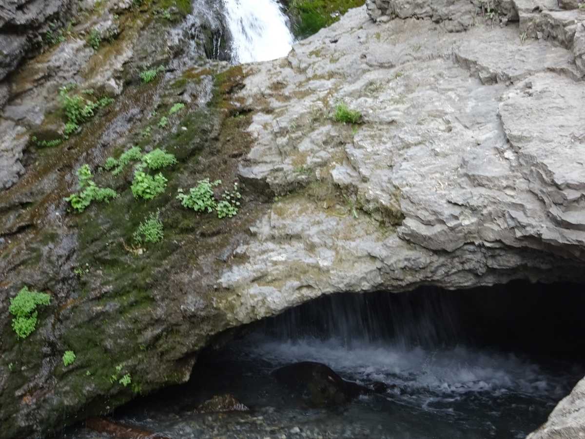 Small waterfall flowing over layered rock into a shallow pool beneath an overhanging ledge with patches of green plants growing along the wet stone. Hidden nature stop along the drive from Salt Lake City to Arches National Park road trip, highlighting a quiet waterfall tucked into a rocky canyon.