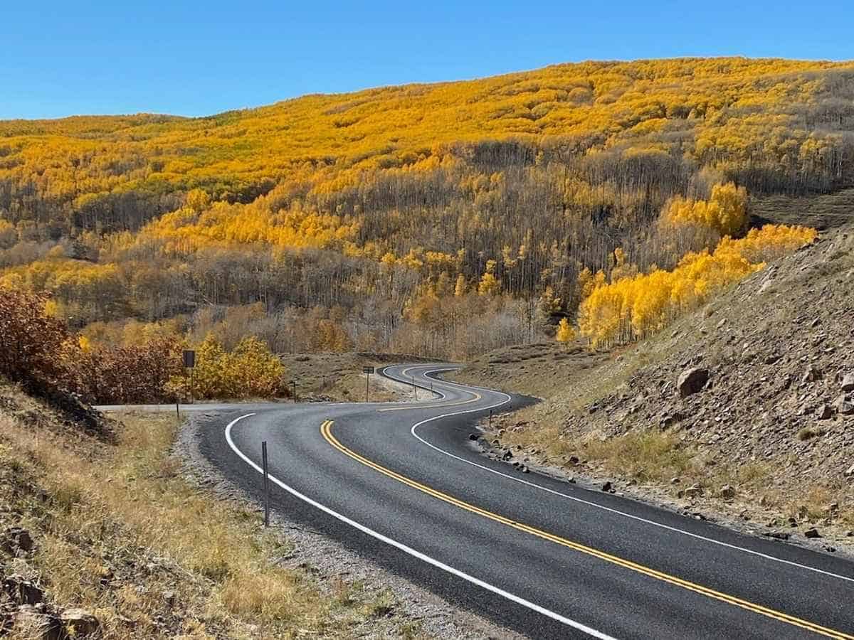 A winding two lane road curves through rolling hills covered in bright golden autumn trees under a clear blue sky along the scenic drive from Zion to Bryce Canyon National Park. The empty highway snakes through the colorful fall landscape highlighting the beauty of the Zion to Bryce Canyon National Park route.