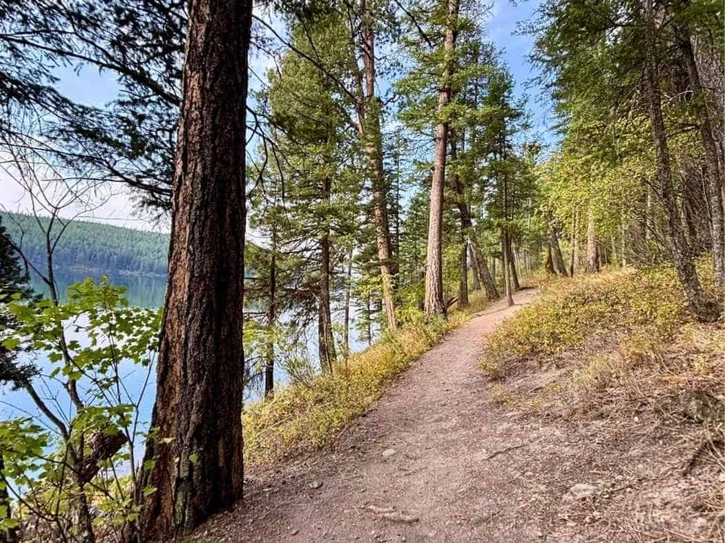 Drive Bozeman to Glacier National Park Road Trip Dirt hiking trail winding through tall pine trees along the edge of a calm mountain lake with forested hills in the distance. A scenic lakeside hike travelers might enjoy while exploring nature on a Bozeman to Glacier National Park road trip.
