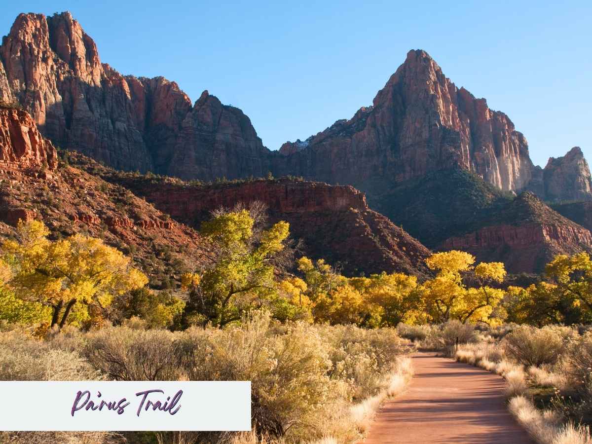 Paved Pa’rus Trail winding through Zion National Park with golden fall trees and towering red rock cliffs rising in the background. Text on the image reads Pa’rus Trail, highlighting this easy scenic walk often included in a Zion National Park itinerary for accessible valley views.