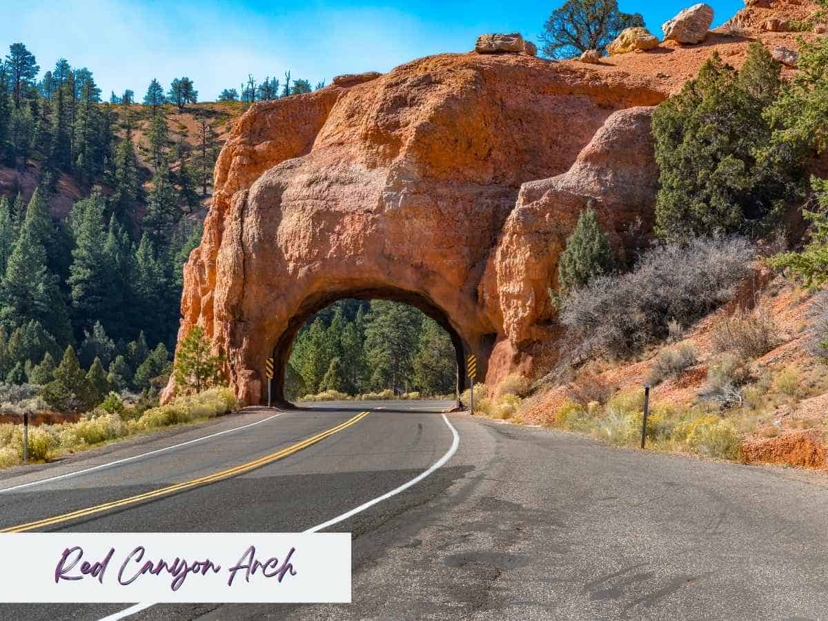 Road curves toward a tunnel carved through a large orange sandstone arch at Red Canyon with pine trees and desert hills surrounding the highway under a bright blue sky. The natural rock arch highlights a scenic landmark along the drive from Zion to Bryce Canyon National Park with the text “Red Canyon Arch” written in the bottom corner.