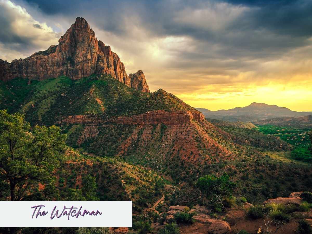 Golden sunset light illuminates The Watchman peak in Zion National Park, rising dramatically above green hills and desert shrubs under a moody sky. Text on the image reads The Watchman, highlighting this iconic mountain view often featured in a Zion National Park itinerary for sunrise or sunset photography.