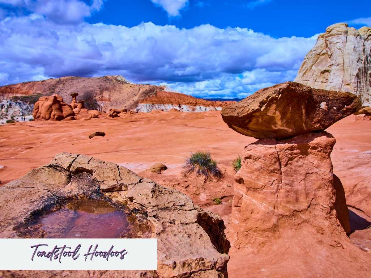 Balanced red rock formation sits on top of a narrow pedestal at Toadstool Hoodoos near Kanab Utah surrounded by a wide desert landscape of sandstone and distant cliffs under a dramatic cloudy sky. The unusual hoodoo formation highlights a scenic stop often visited on the drive from Zion to Bryce Canyon National Park with the text “Toadstool Hoodoos” written in the bottom corner.