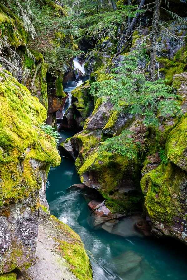Narrow turquoise river winding through a deep rocky gorge covered in bright green moss and surrounded by dense evergreen forest. A dramatic natural stop showcasing the rugged scenery travelers can explore on a Bozeman to Glacier National Park road trip.