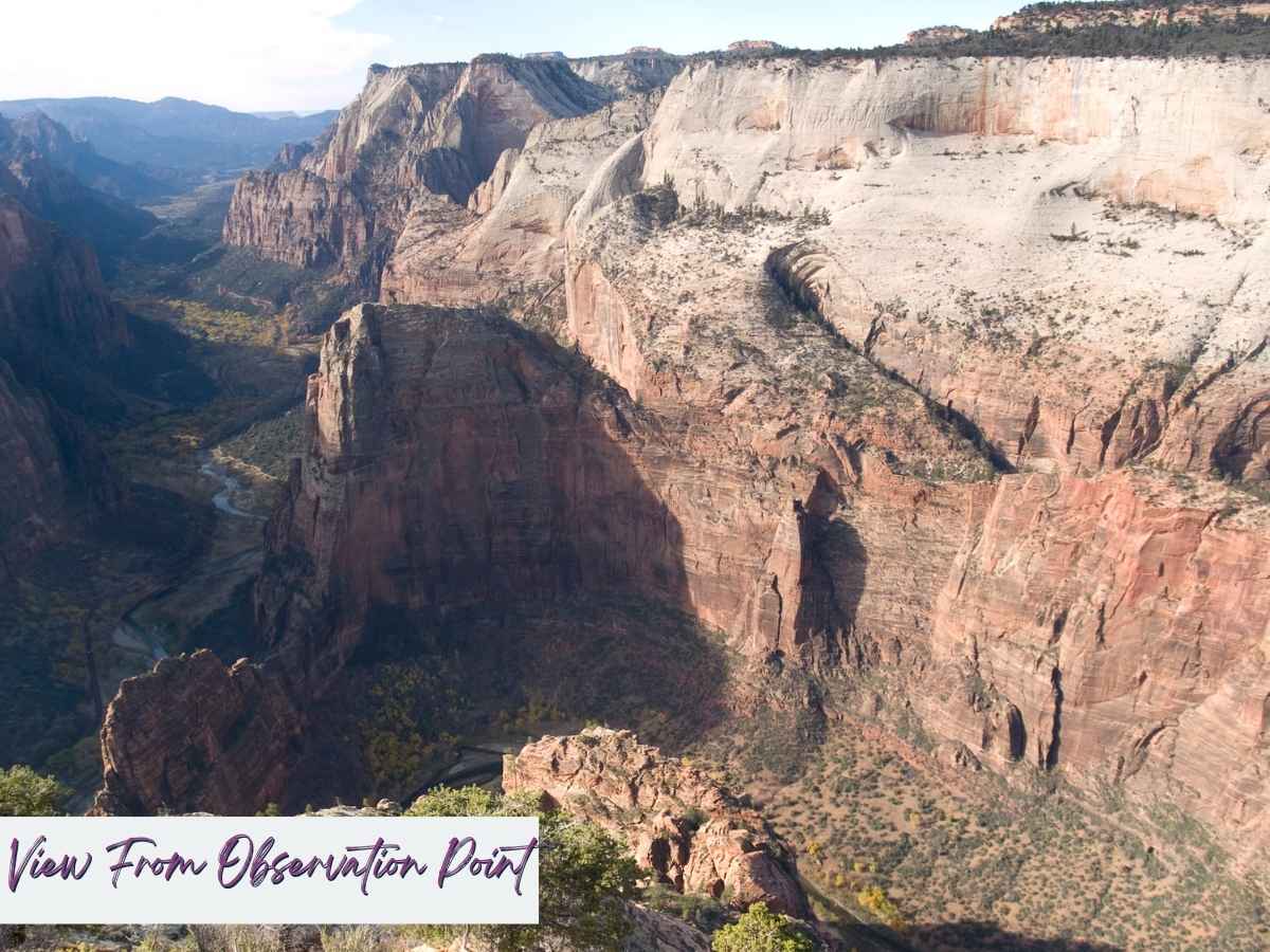 Panoramic view from Observation Point in Zion National Park overlooking sheer sandstone cliffs and the winding Virgin River far below. Text on the image reads View From Observation Point, highlighting one of the most dramatic and expansive vistas to include in a Zion National Park itinerary.