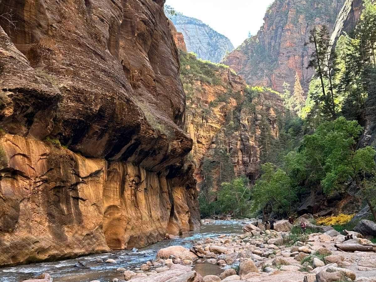 Rocky riverbank along the Virgin River in Zion National Park with towering canyon walls and lush green trees rising on either side. This scenic stretch of river and sandstone cliffs captures the dramatic landscape often highlighted in a Zion National Park itinerary for exploring the canyon floor.